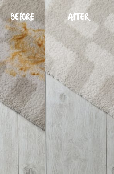 Neden Bizi Tercih Etmelisiniz?